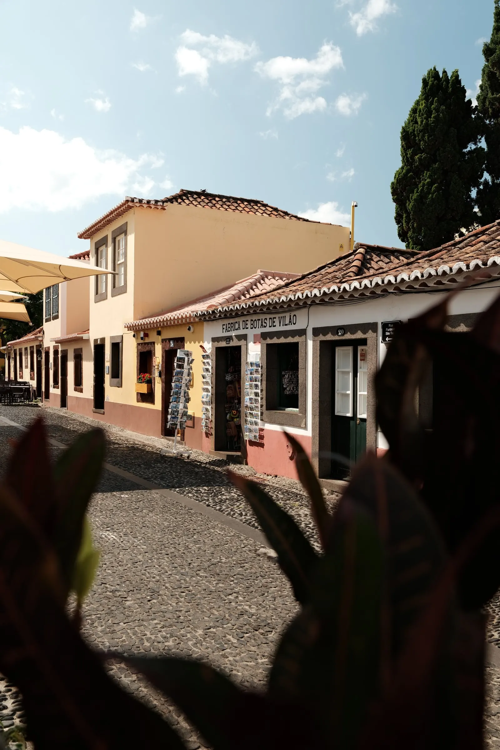 madeira-2026, frame 8