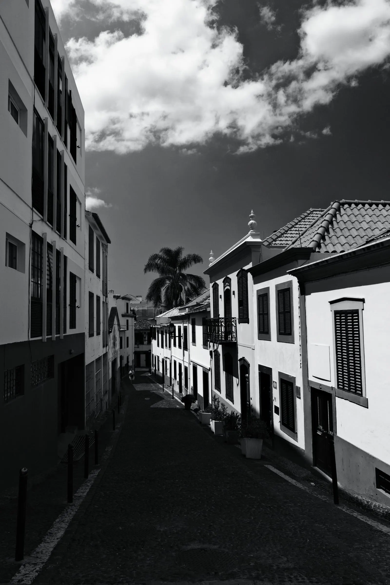 madeira-2026, frame 15