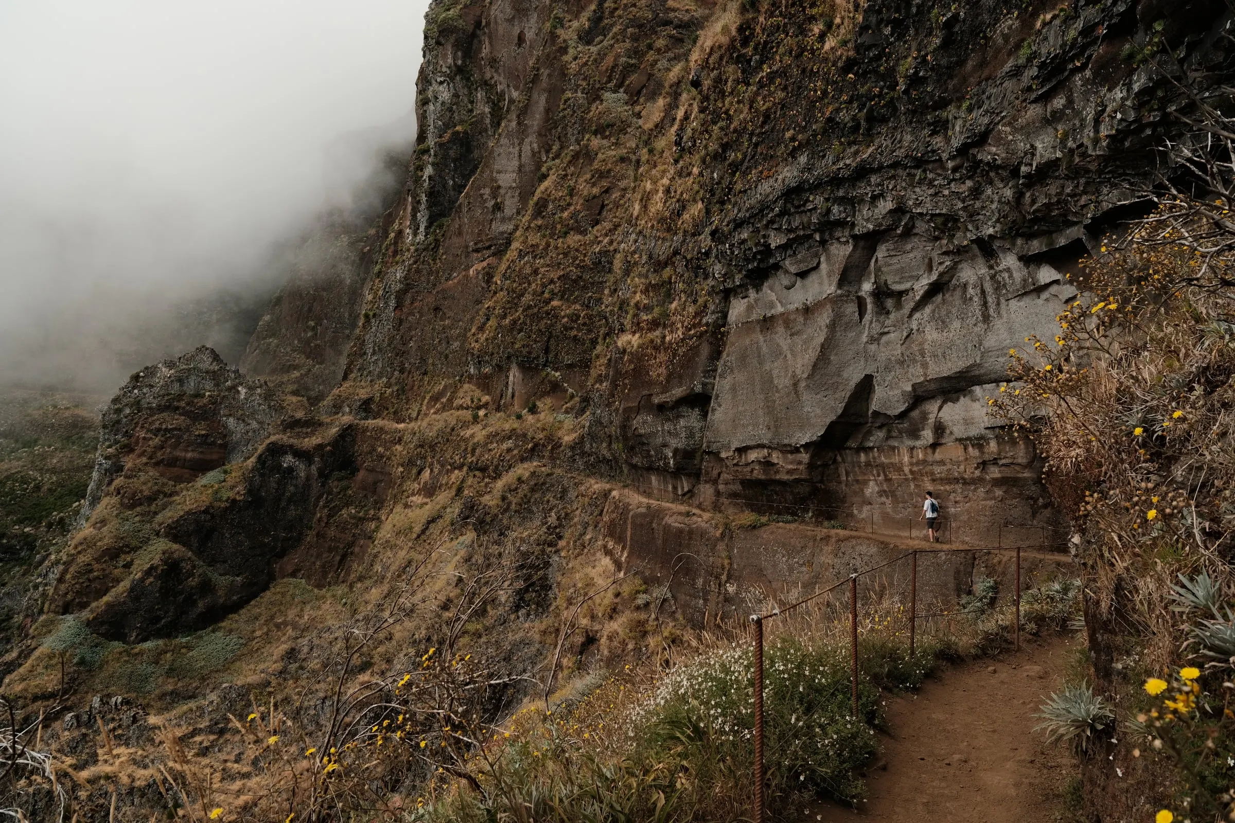 madeira-2026, frame 24