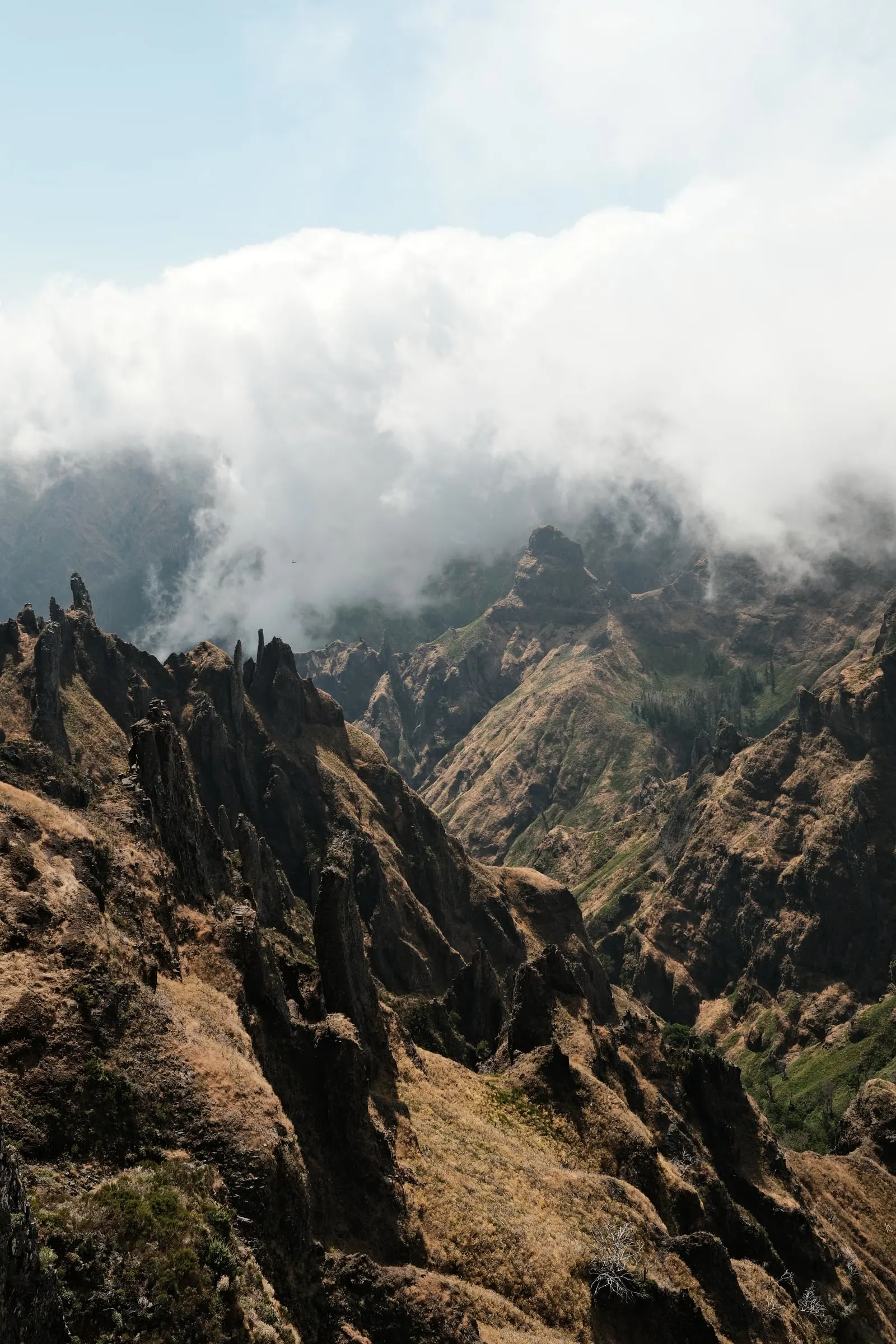madeira-2026, frame 26