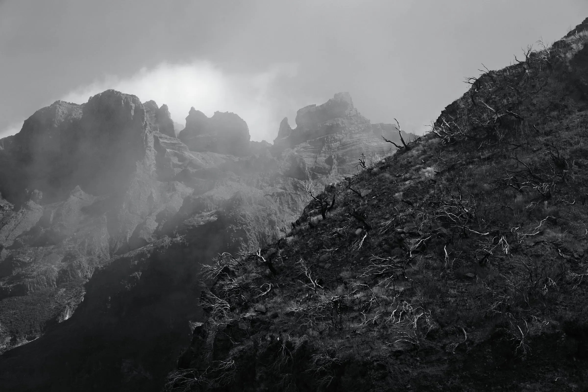 madeira-2026, frame 32