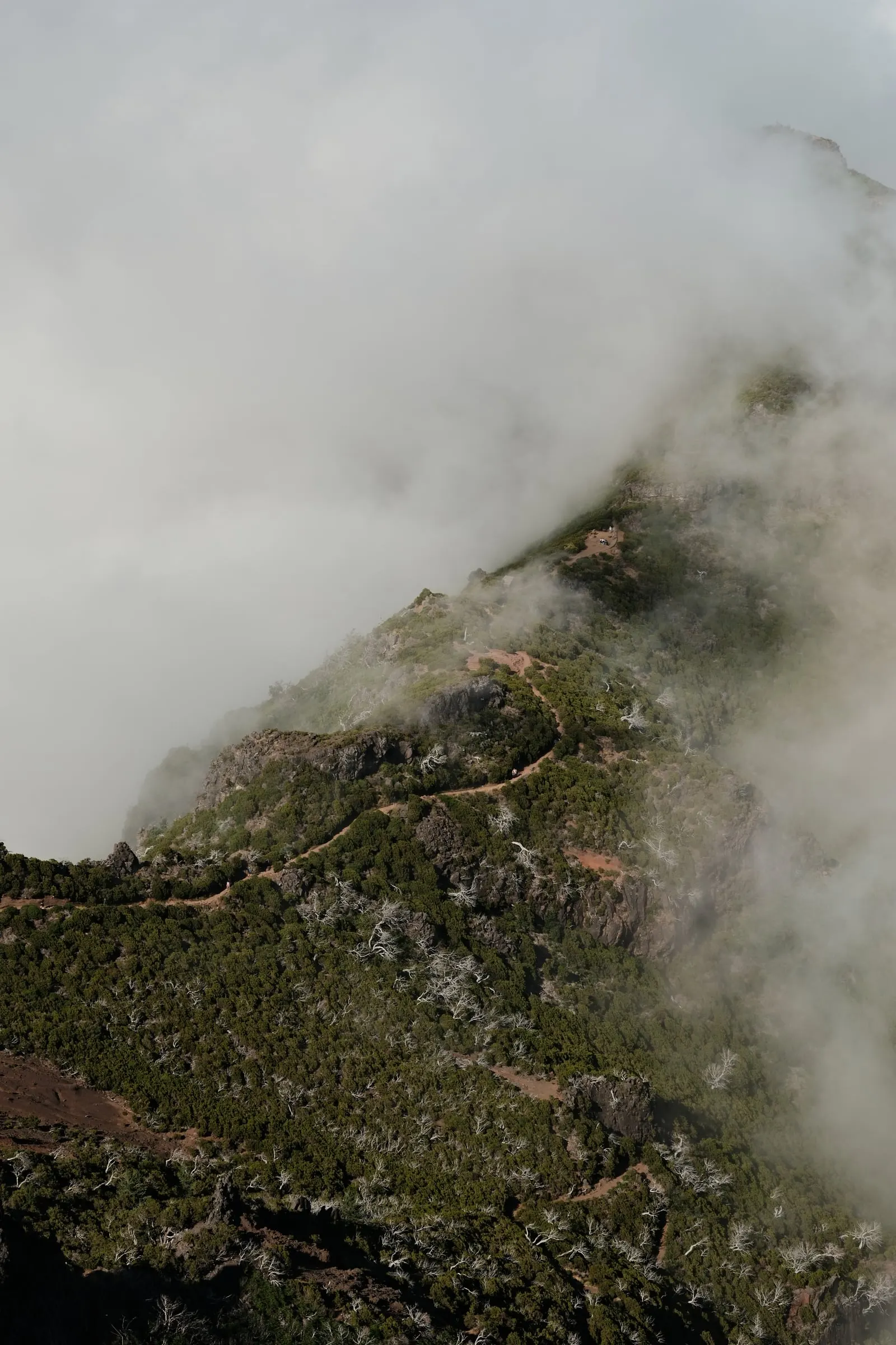 madeira-2026, frame 35