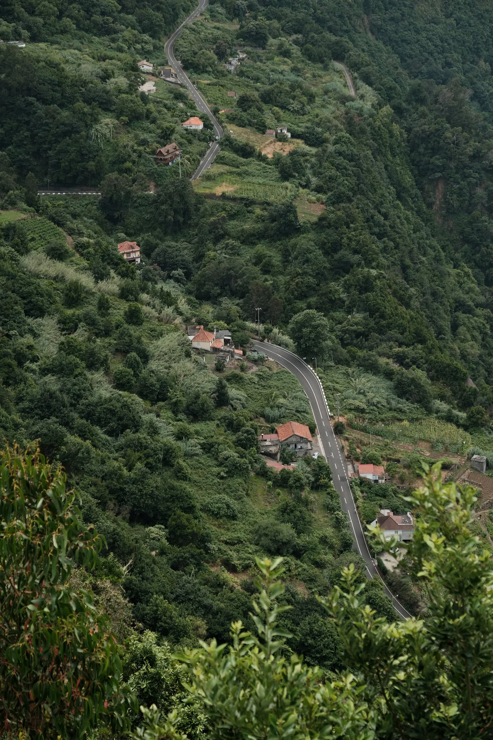 madeira-2026, frame 56