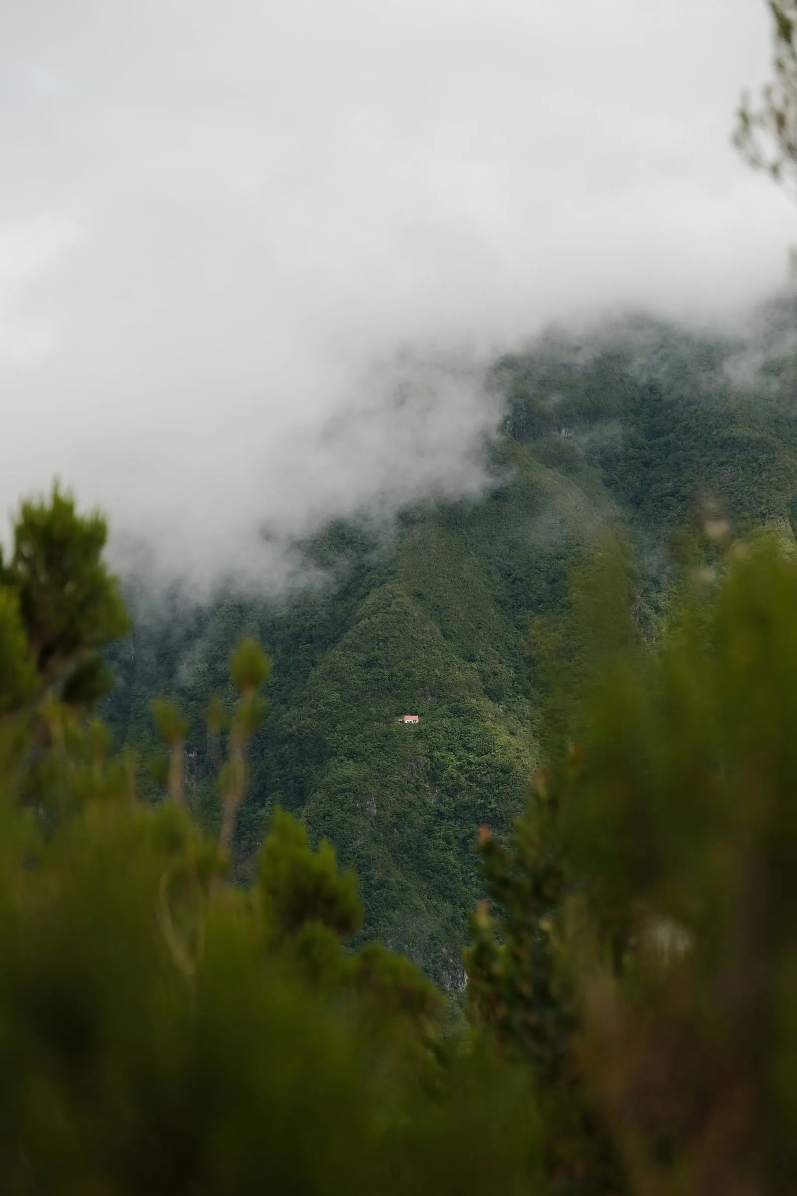 madeira-2026, frame 65