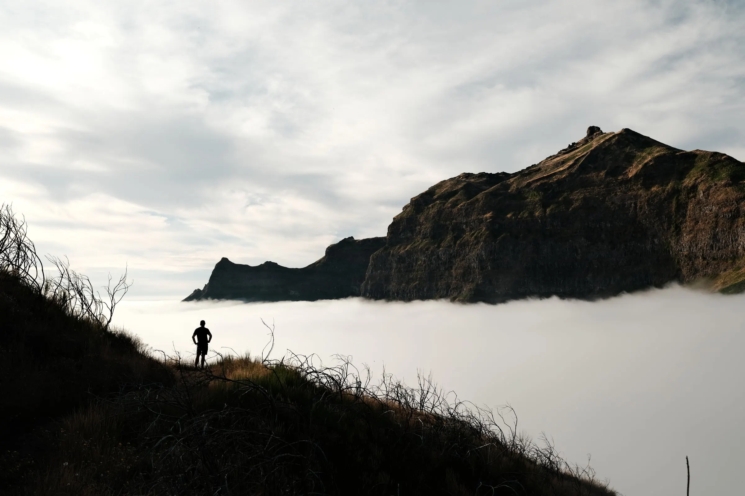 madeira-2026, frame 80