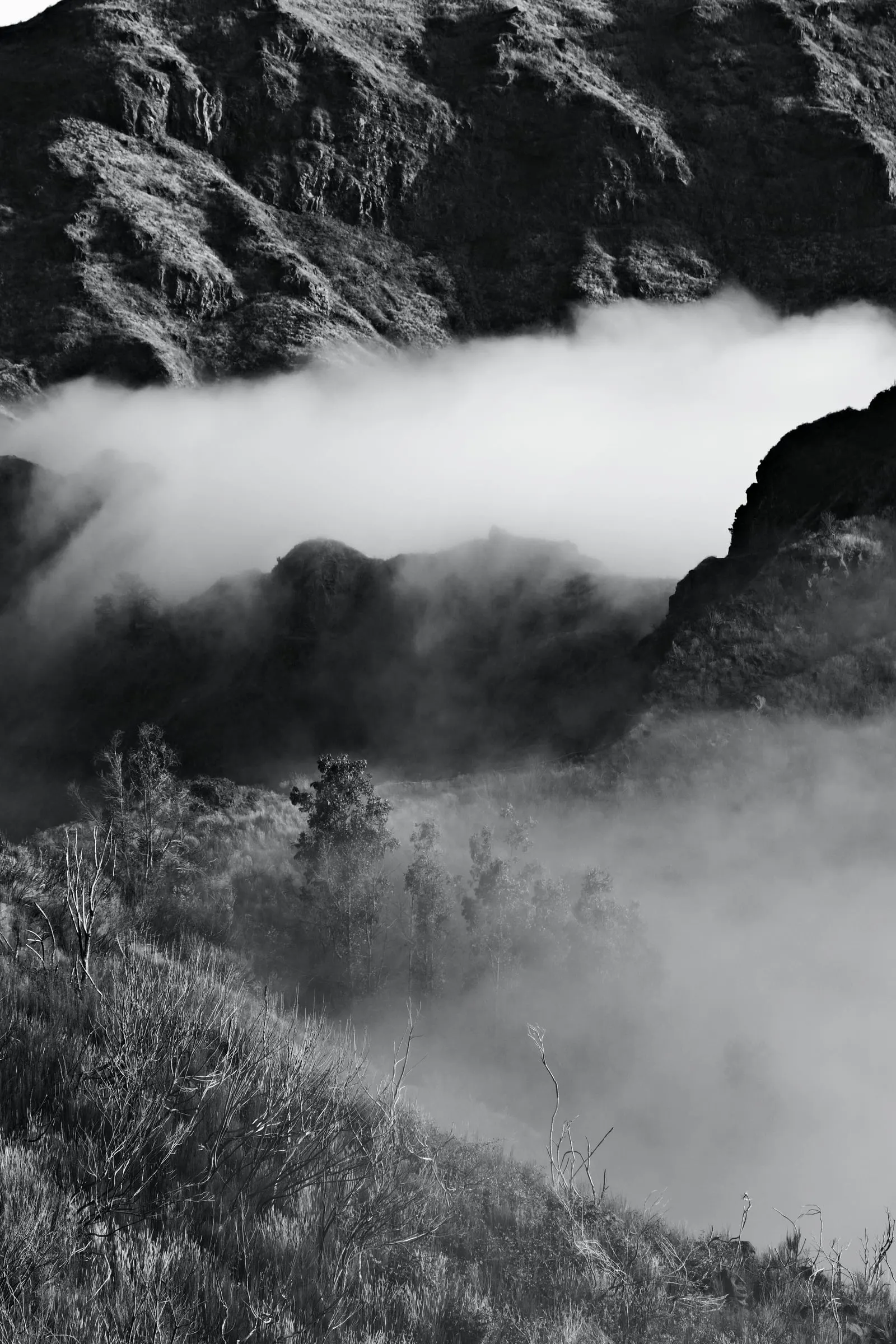 madeira-2026, frame 83